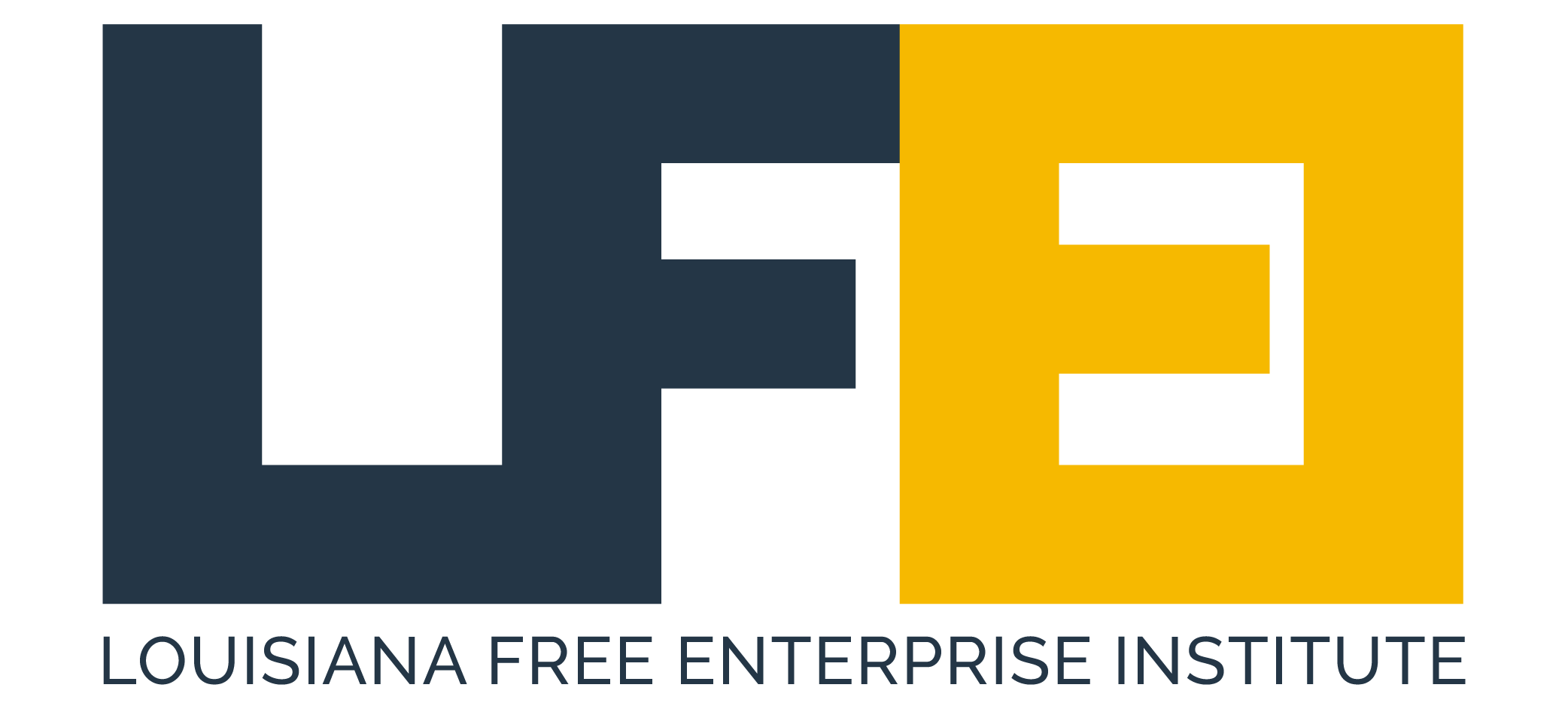 Logo LFEI - Cropped_LFEI - logo