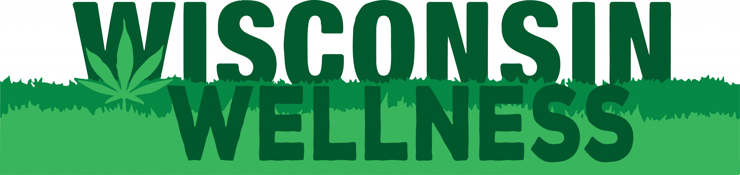 2025-09-05_Wisconsin Wellness Coaltion_Primary Logo
